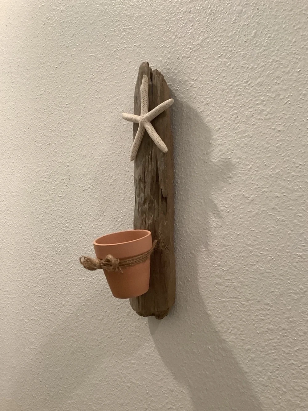 Driftwood Art, Driftwood & Starfish Planter, Driftwood Wall Art